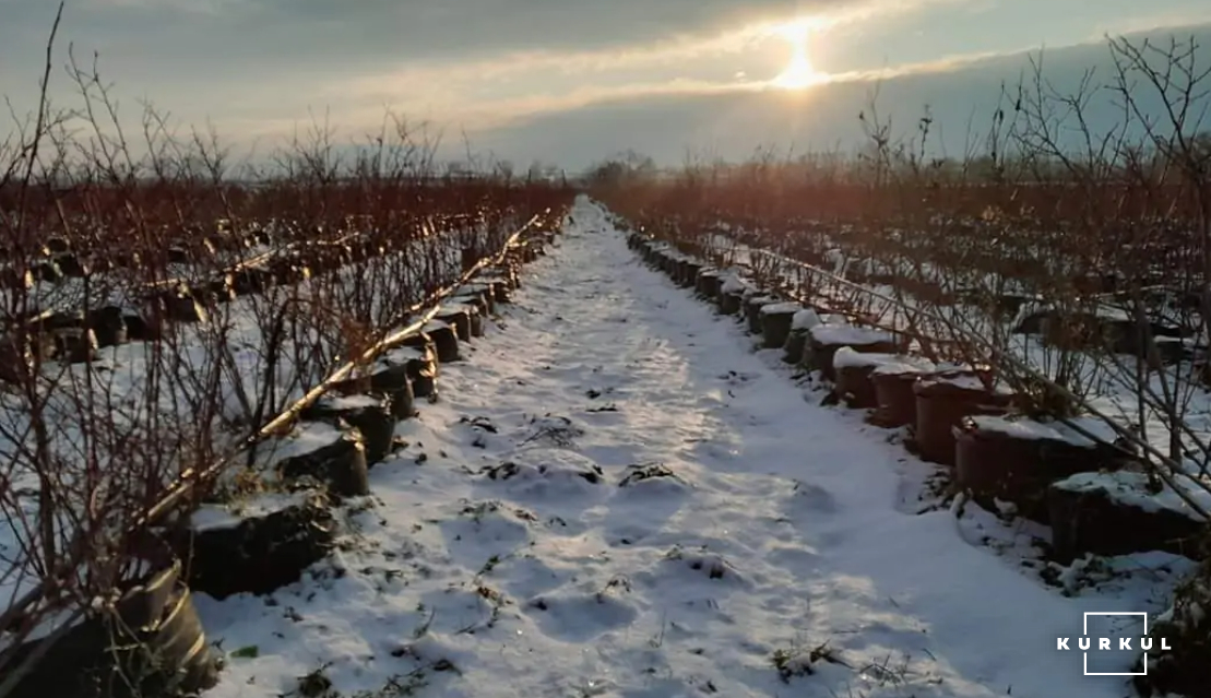 ФГ &laquo;Озеряна&raquo;