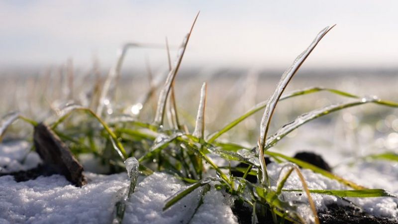 Фото: Суспільне Кропивницький