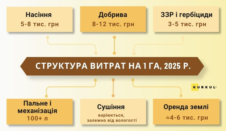 Структура витрат на 1 га, 2025 р.