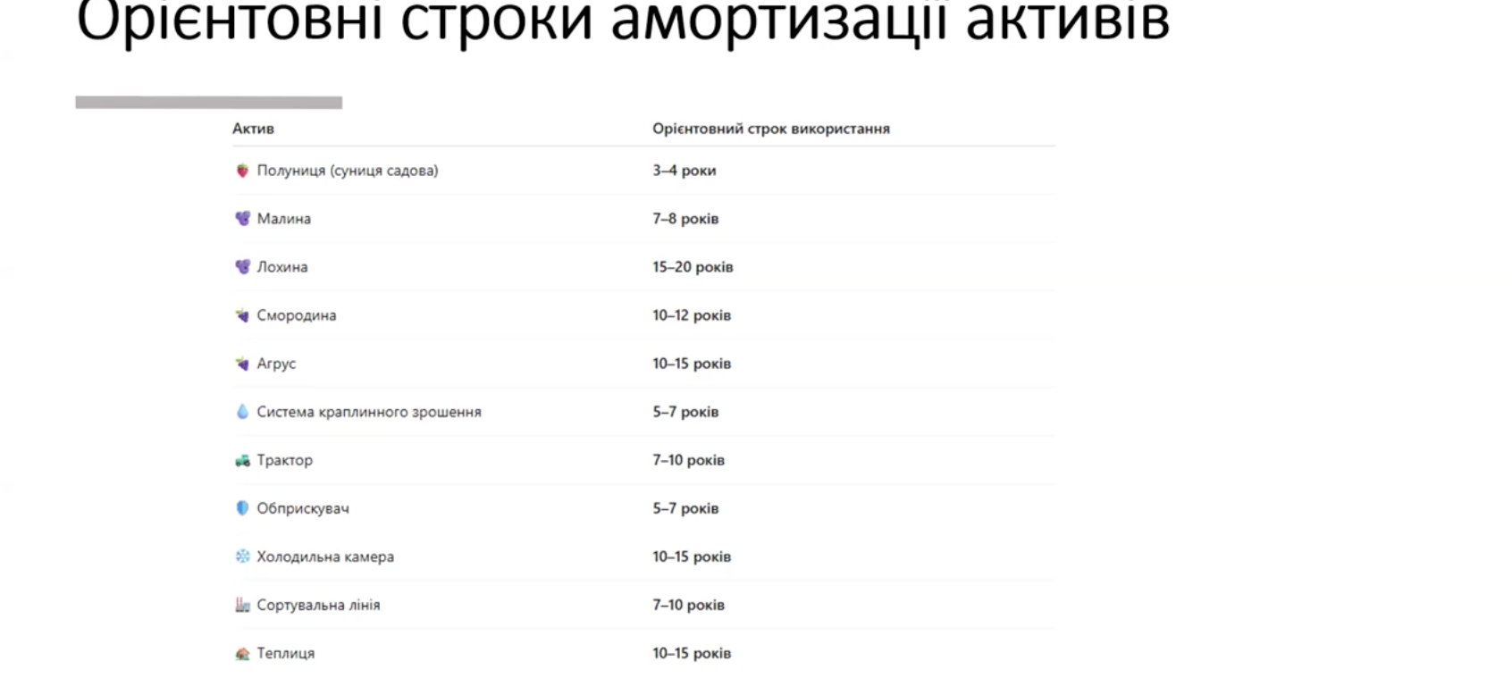 З презентації Ірини Кухтіної