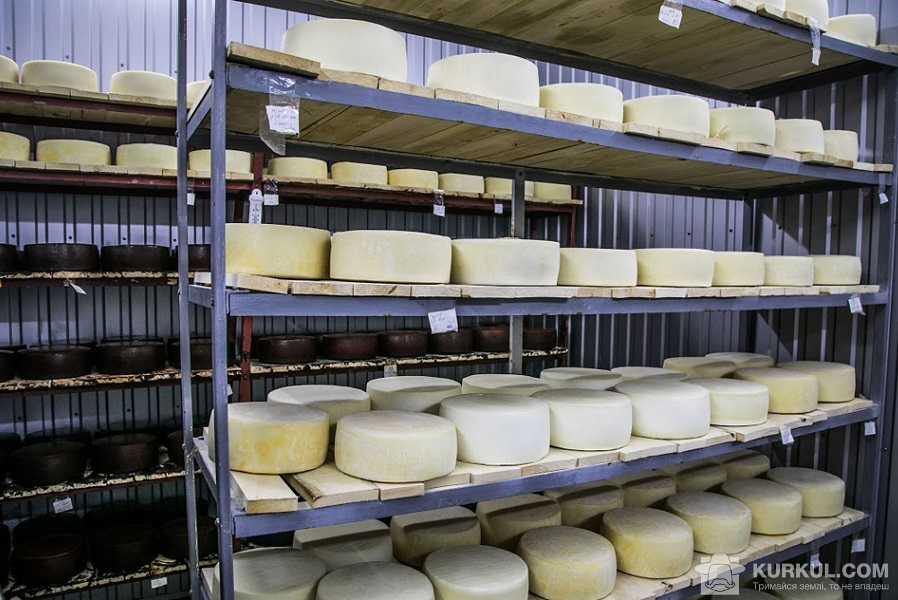Виробництво сиру