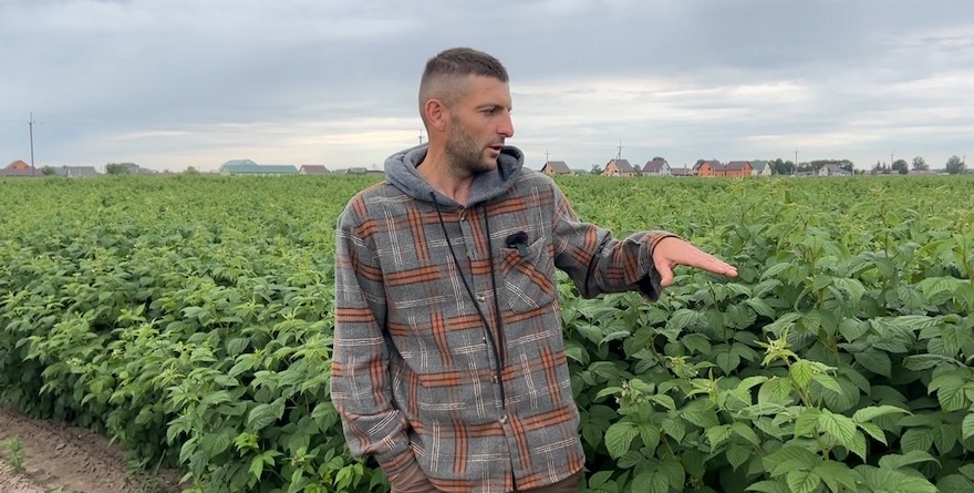 Фермер Станіслав Гамза, Джерело: Суспільне Рівне