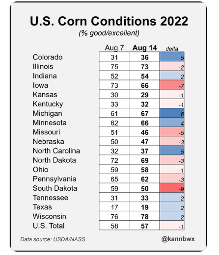 Стан кукурудзи в США